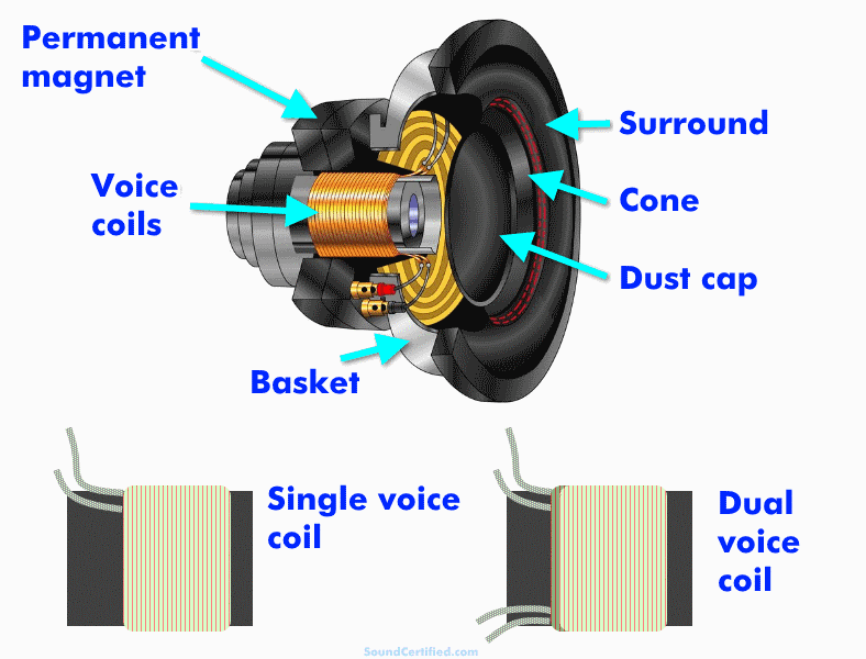 What is a dual voice coil speaker exploded view diagram labeled