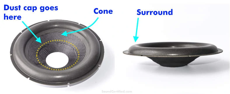 Speaker cone example labeled