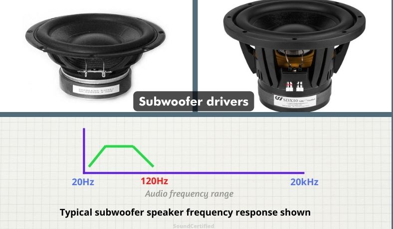 subwoofer driver speaker examples and frequency response graph